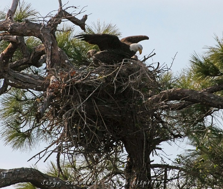 2009-01-04 14-04-20__MG_9764.JPG